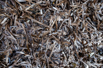 close up of dried seaweed