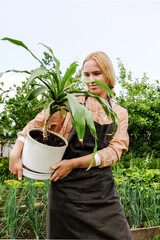 Gardening Girl gardener carries a large pot with a plant for planting in the ground. Work house...