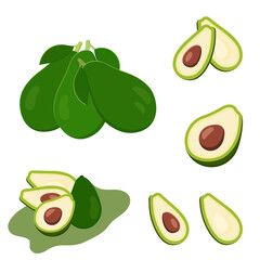 Cartoon avocado vector set. Green ripe avocados. Natural healthy nutritious organic food. Isolated avocado on white background. 
