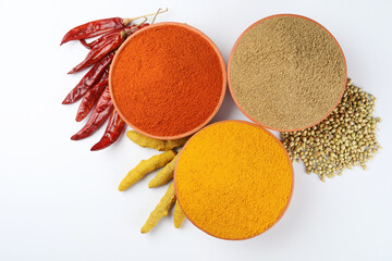 Indian spices- Turmeric, Chilly powder, Coriander powder and Coriander Seeds, Dried Chilly, Turmeric Root. 
