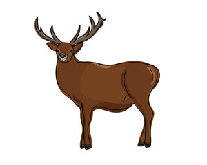 Deer isolated on white background, doodle vector illustration