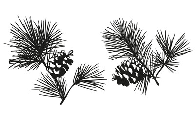 set of silhouettes of cones of cones, branches of pine, cedar