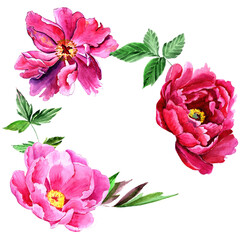 
Watercolor pink peonies in a congratulatory frame.