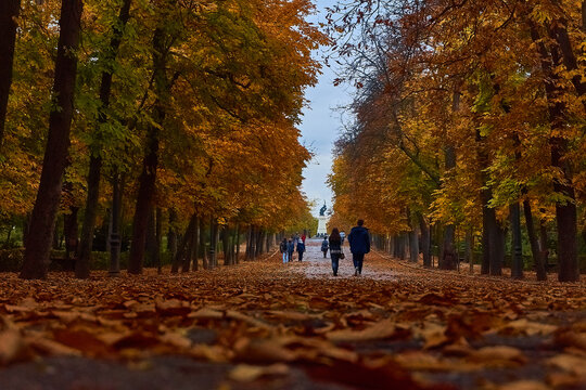 PASEO DE OTO&Ntilde;O EN LA CIUDAD