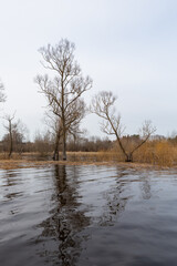 Lake landscapes from a boat in early Baltic spring
