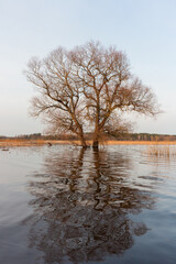 Lake landscapes from a boat in early Baltic spring