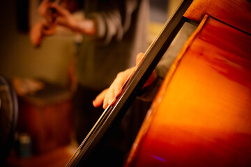 Jazz musician playing acoustic bass in house live music show