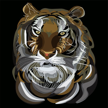 vector illustration of a brave and dignified tiger face

