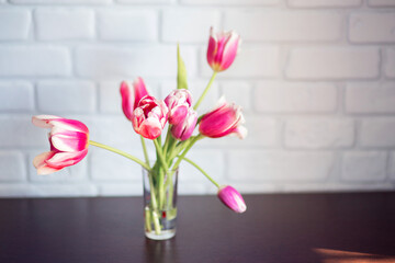 Beautiful pink tulips in a glass. Spring postcard. March 8. Spring flowers at home on the table