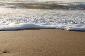 Fototapeta na wymiar Schiuma in spiaggia
