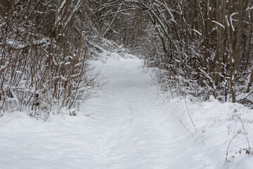 Obraz premium sunny snowy winter day in the countryside with lake