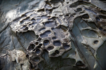 Interesting wear-and-tear on the rocks at Godrevy Beach revealed at low tide.