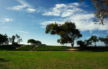 inspiration, nice, blue, sunset, tree, green, landscape, farewell, shadow