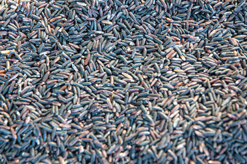 Close-up of black rice.