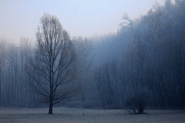 A winter day in the Olona's valley, north Italy