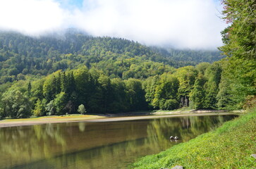 Obraz premium Biograd Lake located in the Biograd National Park at the foot of the mountains - Montenegro 