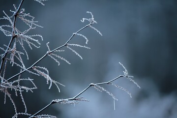 A winter frozen morning with glaze ice