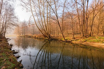 Fototapeta na wymiar Winter landscape with a quiet river