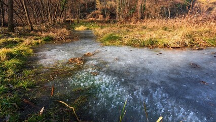 Winter landscape with a frozen pond