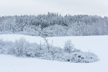 sunny, snowy winter day in the countryside