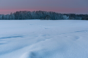 sunny, snowy winter day in the countryside at sunset