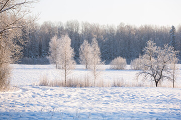 sunny, snowy winter day in the countryside at sunset