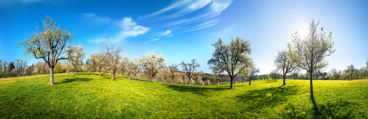 Fototapeta na wymiar Idyllic rural panorama on a sunny day, a soothing landscape shot with a green meadow and blue sky