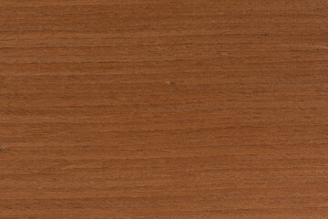 Texture of mahogany. Bright texture of mahogany veneer for furniture production.