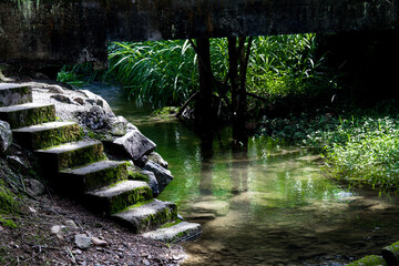 stairway to creek