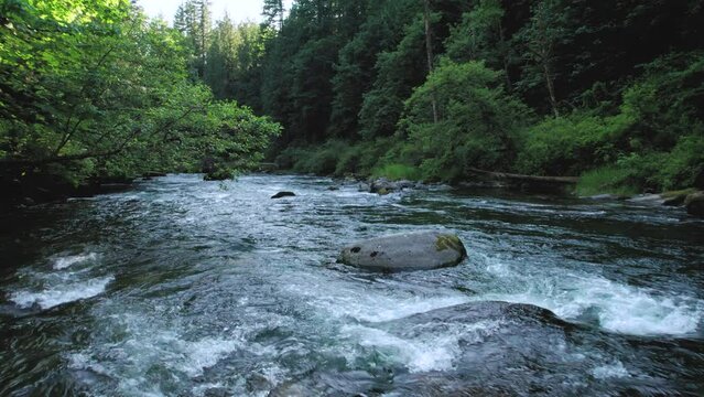 Beautiful Nature Shot with Drone Low Over Forest River