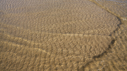 Fototapeta na wymiar View into shallow clear water with many repeating ripple patterns on the sand created by the sunlight. 