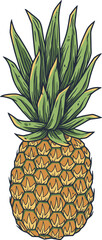 Pineapple fresh exotic juicy fruit. summer tropical nature ananas and organic for food bar
