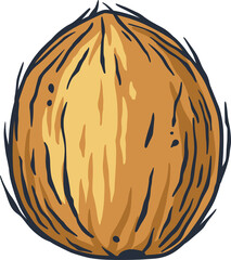 Coconut exotic cocktail. Tropical beach summer fruit coco. Hawaii nature drink bar