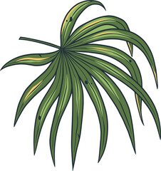 Palm leafs. Tropical exotic plant set for design. Summer hawaii plant. Exotic nature floral for tropic design