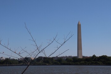 Washington Monument