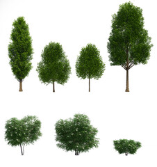 Set of 3D trees and bushes isolated on white background , Use for visualization in graphic design
