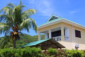 Guest house with coconut palm. A garden on a tropical island.