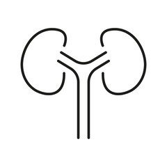 Human Kidney Line Icon. Internal Anatomy of Renal Organ Linear Pictogram. Medical Urology, Nephrology Outline Icon. Kidneys Disease, Dialysis Treatment. Editable Stroke. Isolated Vector Illustration