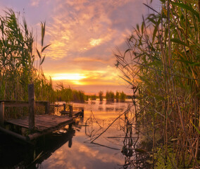 Beautiful lake with diving board for fishing. Reeds and wooden plank bridge, calm lake and evening clouds.