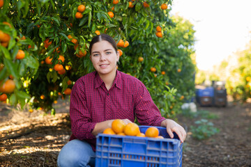 Portrait of cheerful skilled young female gardener picking ripe organic tangerines in cultivating...