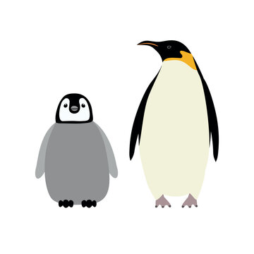Vector flat hand drawn emperor penguin with baby isolated on white background