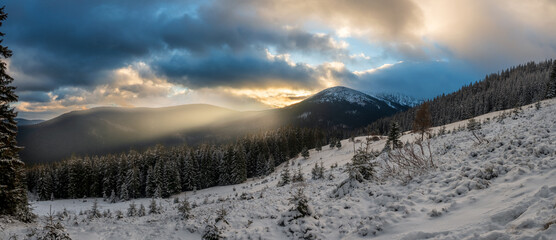 Wide mountain landscape. Contrasting sun rays. Snow and forest in the foreground. Ukrainian Carpathians