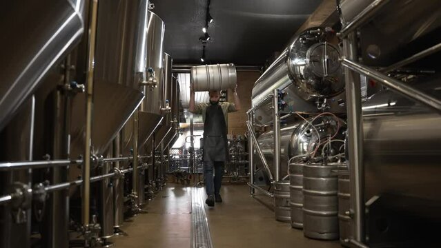 A male brewer in an apron with a beard walks with a keg near the beer tanks