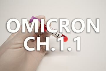 Background of OMICRON CH.1.1 and syringe vaccine,Medical health concept