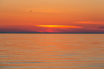 rocky beach at sunset 