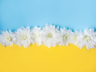 Blue and yellow background with white flowers on it. Stand with Ukraine