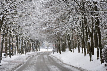 Snow covered road in a snowy white winter forest in Bad Fussing, Bavaria, Germany. Winter scene of snow covered road and trees.Winter road and snow forest.Road through snowy wood in wintertime.