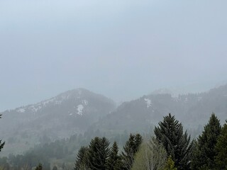 Tetons Shrouded in Mist