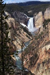 Yellowstone Canyon & Upper Waterfall