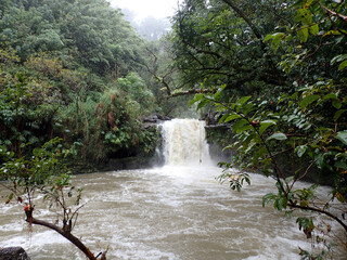 Nature's Fury: Raging Short Waterfall in the Forest near Hana, Maui